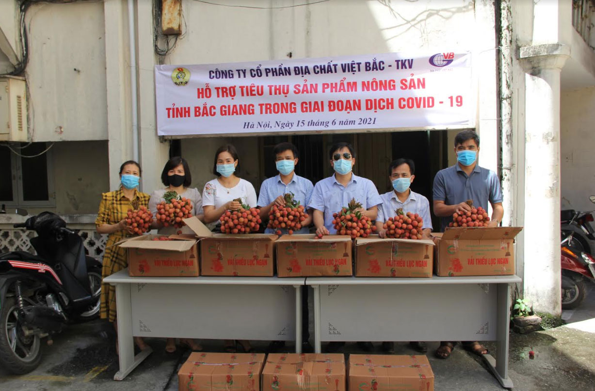 Công ty hỗ trợ mua vải thiều Bắc Giang